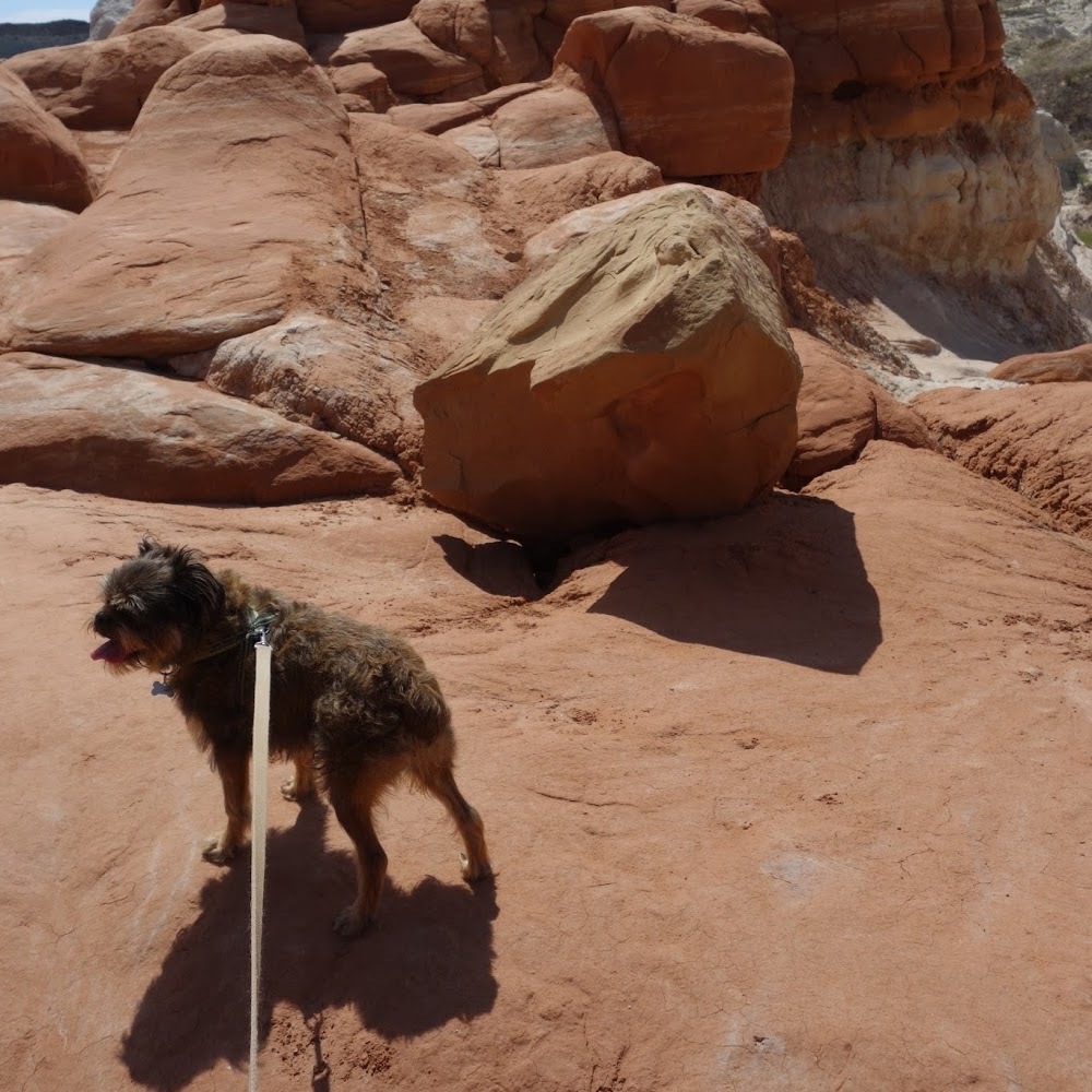 Meet your Posher, Nalatie